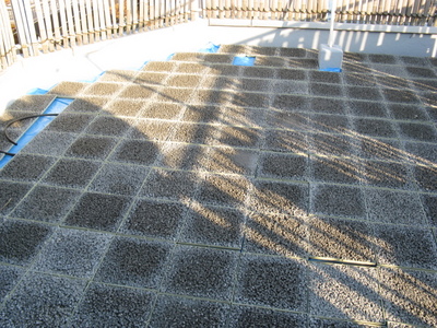 IMG_4939.JPG