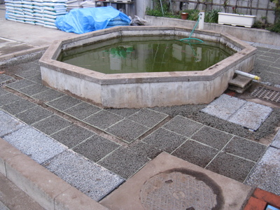 IMG_5498.JPG