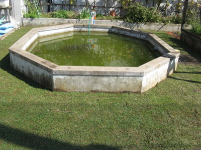 IMG_5547.JPG