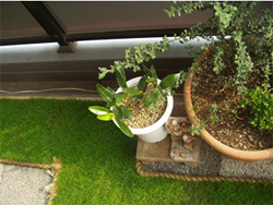 �ݒu�P