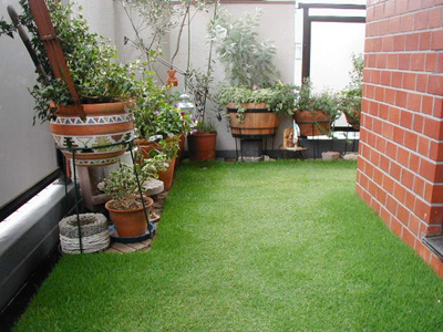 photo2