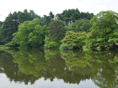P1100399.JPG