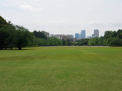 P1100401.JPG