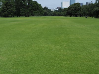 P6240020.JPG