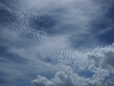 IMG_2504 (002).jpg