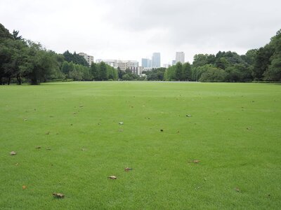 P9100003.JPG